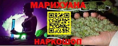 сатива Кингисепп