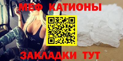 сатива Кингисепп