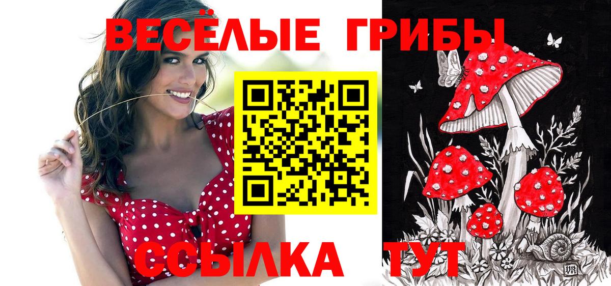 Галлюциногенные грибы GOLDEN TEACHER Котовск